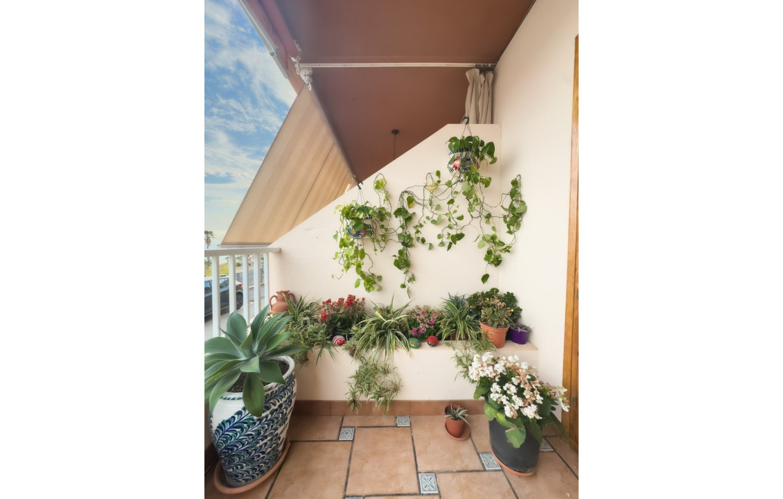  -  - Santa Pola - Santa Pola del Este