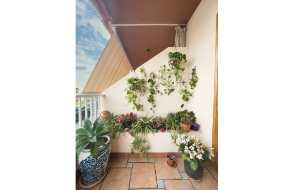  -  - Santa Pola - Santa Pola del Este