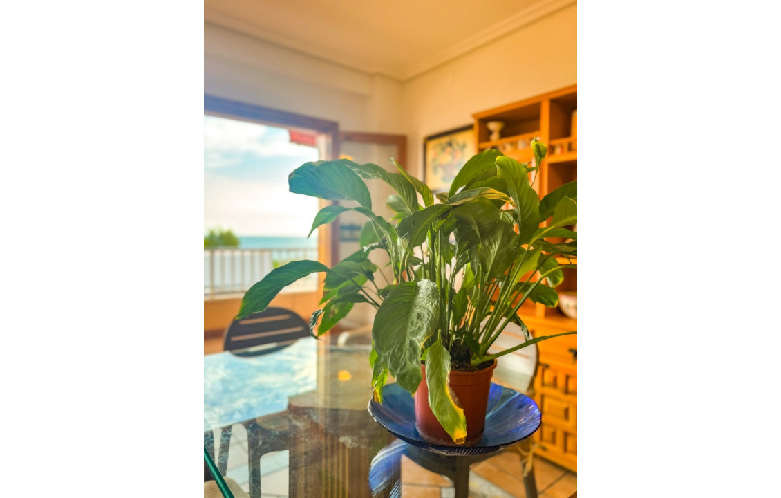  -  - Santa Pola - Santa Pola del Este