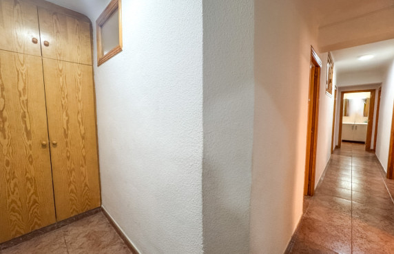 Alquiler Larga Estancia - Apartamento - Elche - Calle del Alférez Cosido