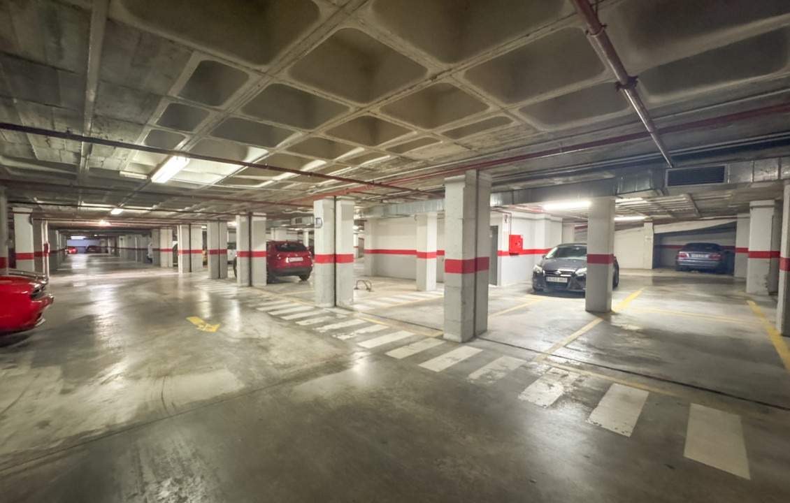 Long Rental Period - Flat - Elche - Universidad - Ciudad deportiva