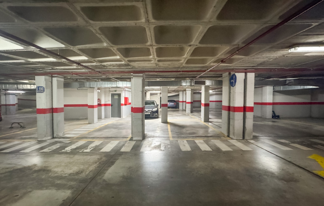 Long Rental Period - Flat - Elche - Universidad - Ciudad deportiva