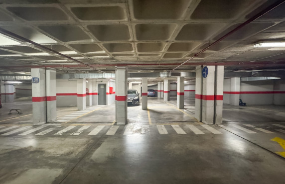 Long Rental Period - Flat - Elche - Universidad - Ciudad deportiva