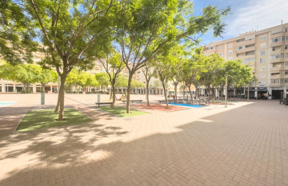 Long Rental Period - Flat - Elche - Universidad - Ciudad deportiva