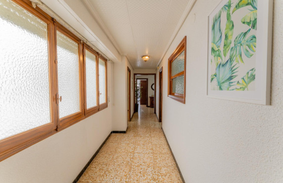 Venta - Piso - Elche - Pont Nou-Corazón de Jesús