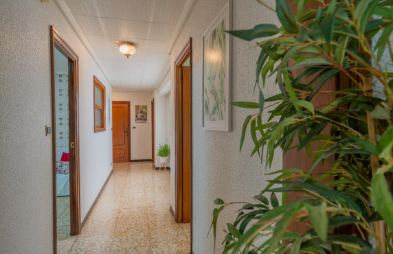 Venta - Piso - Elche - Pont Nou-Corazón de Jesús