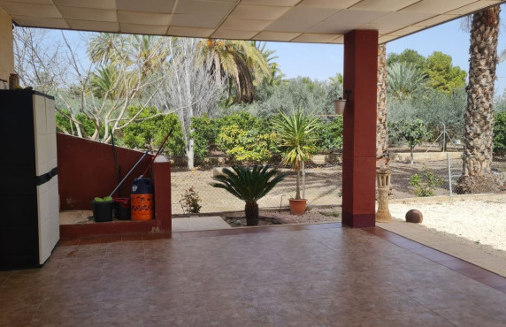 Venta - villa - Elche pedanias - Algoda