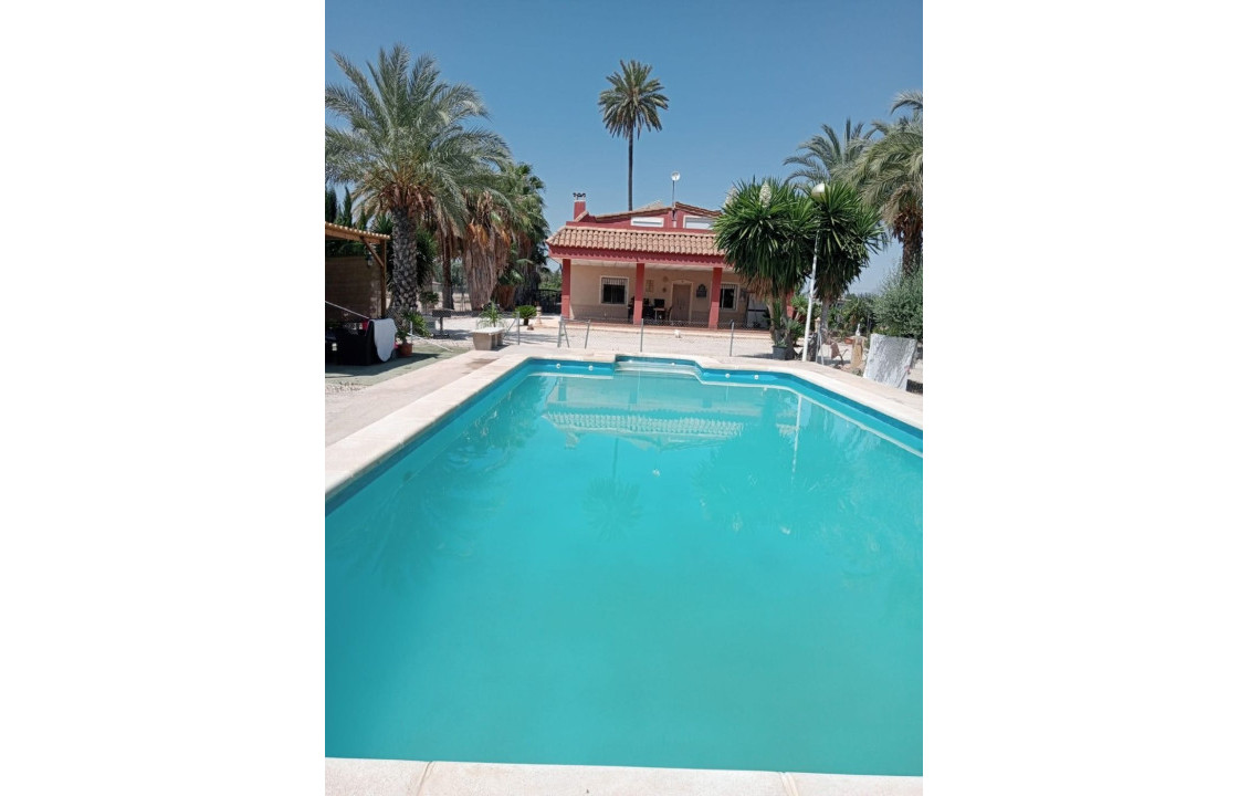 Venta - villa - Elche pedanias - Algoda