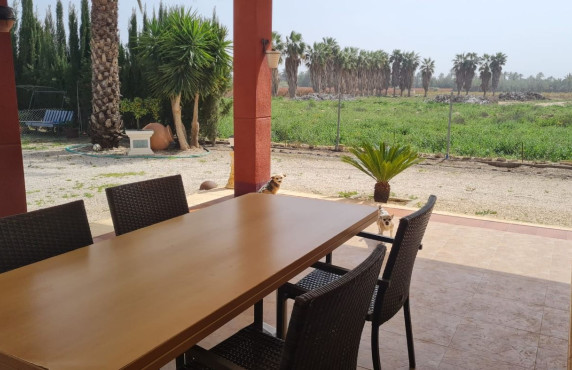 Venta - villa - Elche pedanias - Algoda