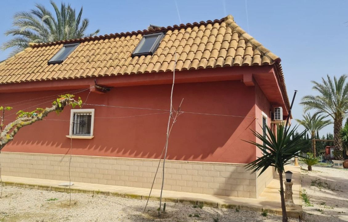 Venta - villa - Elche pedanias - Algoda