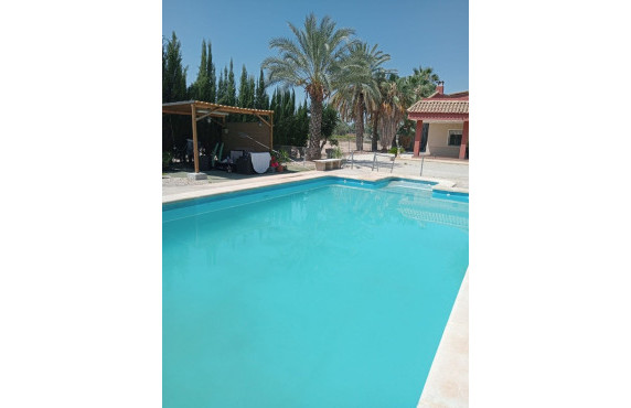 Venta - villa - Elche pedanias - Algoda