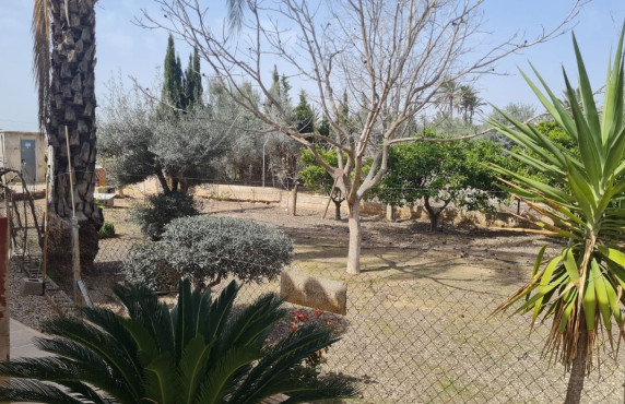 Venta - villa - Elche pedanias - Algoda