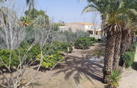 Venta - villa - Elche pedanias - Algoda