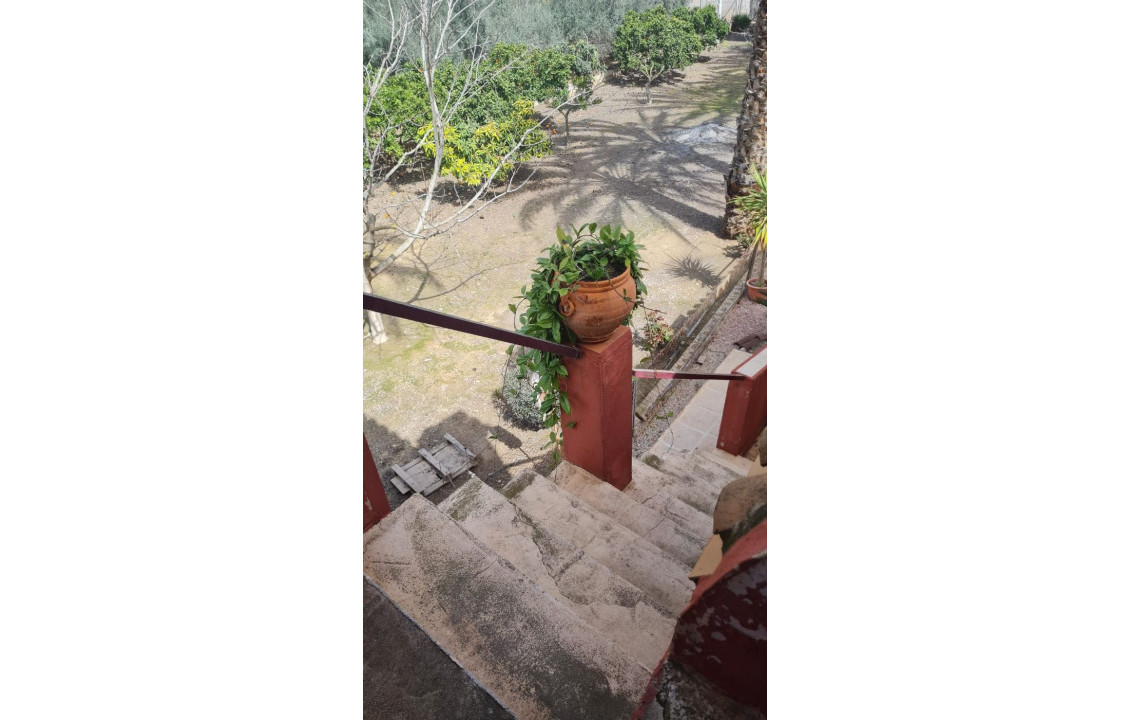 Venta - villa - Elche pedanias - Algoda