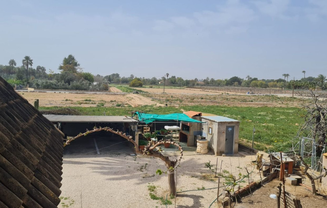 Venta - villa - Elche pedanias - Algoda