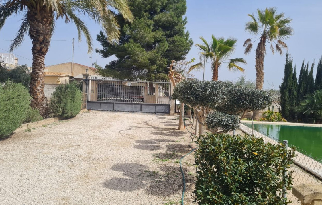 Venta - villa - Elche pedanias - Algoda