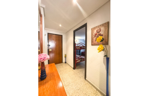 Alquiler Temporal - Apartamento - Santa Pola - Club nautico