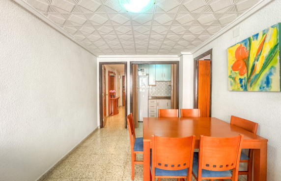 Alquiler Temporal - Apartamento - Santa Pola - Club nautico