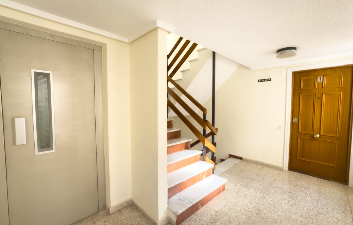 Alquiler Temporal - Apartamento - Santa Pola - Club nautico