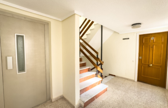 Alquiler Temporal - Apartamento - Santa Pola - Club nautico