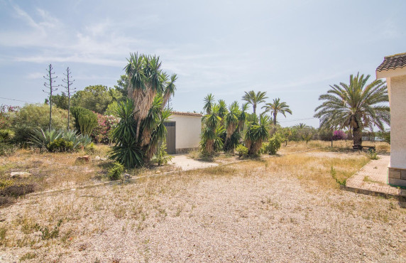 Venta - house - Elche - La Galia-Bonavista