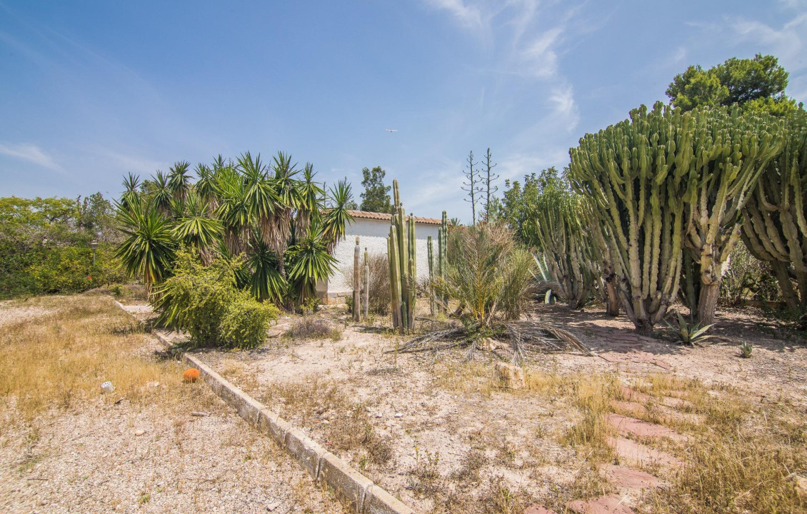 Venta - house - Elche - La Galia-Bonavista