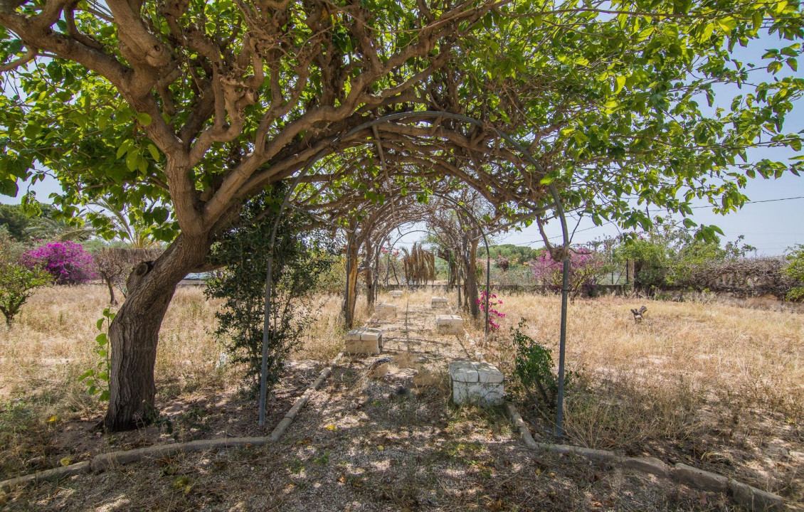 Venta - house - Elche - La Galia-Bonavista