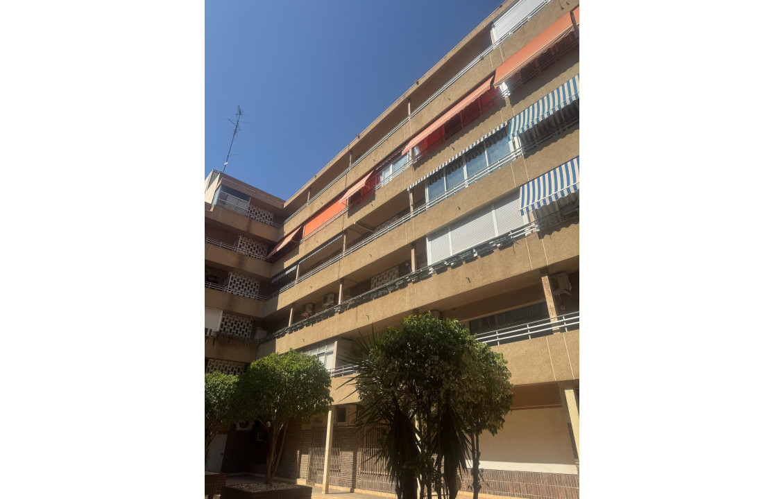  - Apartamento - Alicante - Centro