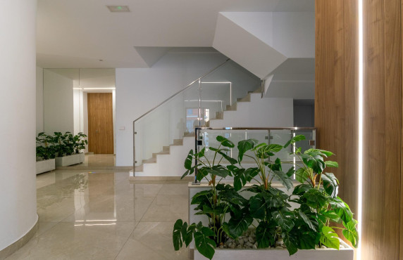 Venta - Piso - Elche - Corte Ingles