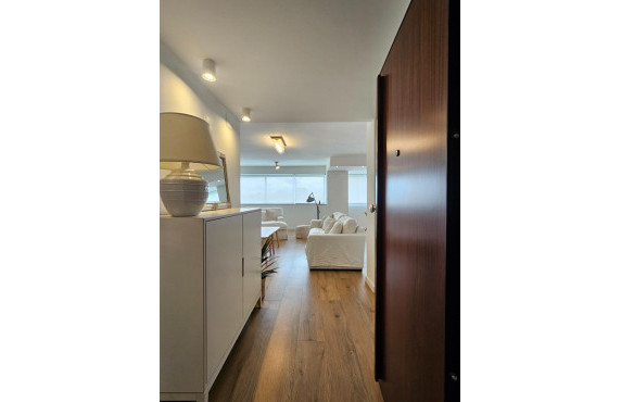  -  - San Vicente del Raspeig - Centro - San Vicente del Raspeig