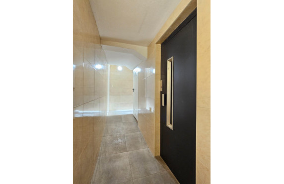  -  - San Vicente del Raspeig - Centro - San Vicente del Raspeig