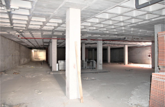  -  - Alicante - Babel