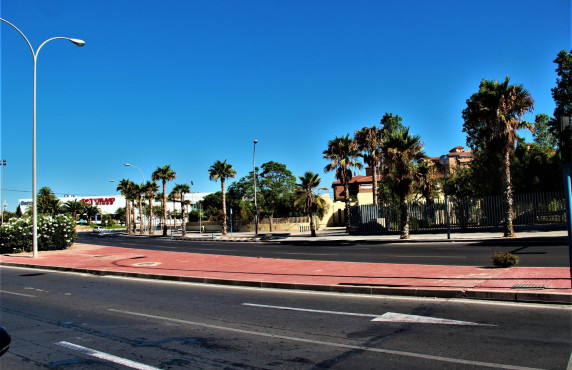  -  - Alicante - Babel