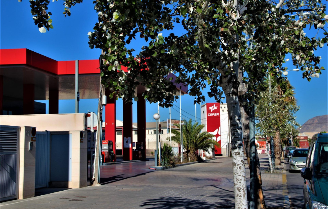  -  - Alicante - Babel