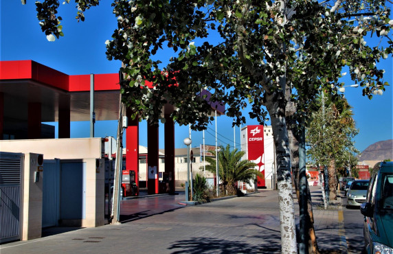  -  - Alicante - Babel