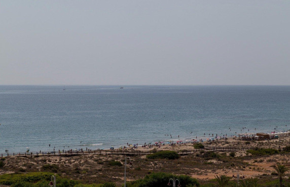 For Sale -  - Arenales del sol - Arenales del Sol