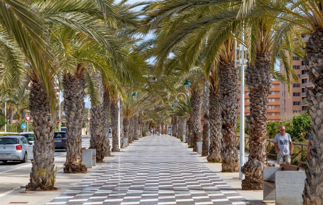 For Sale -  - Arenales del sol - Arenales del Sol