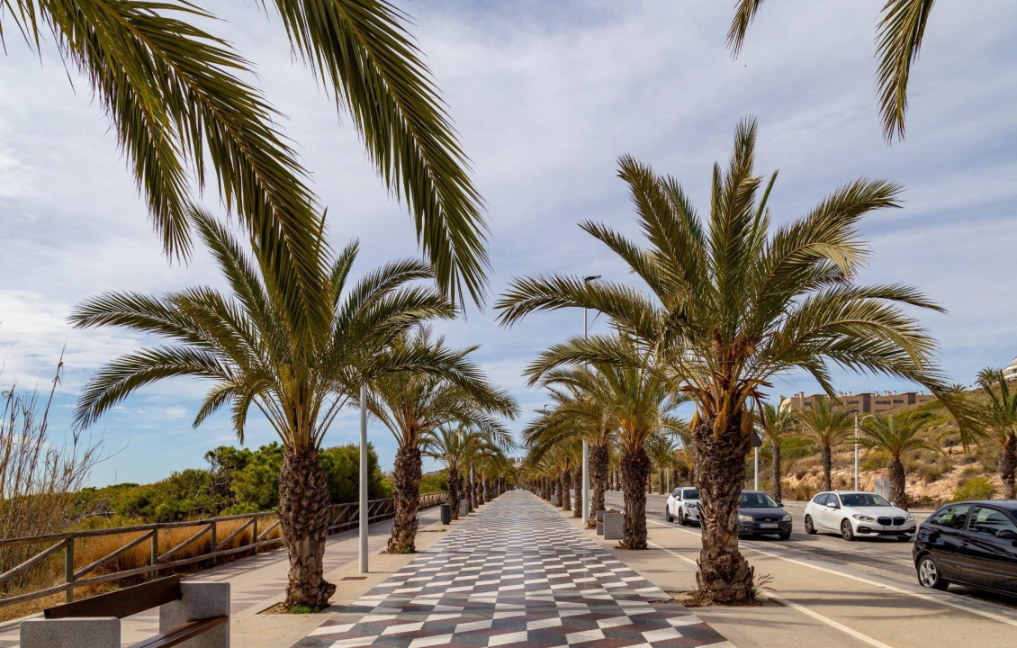 For Sale -  - Arenales del sol - Arenales del Sol