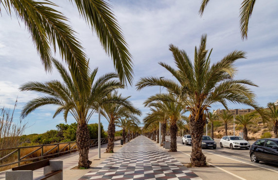 For Sale -  - Arenales del sol - Arenales del Sol