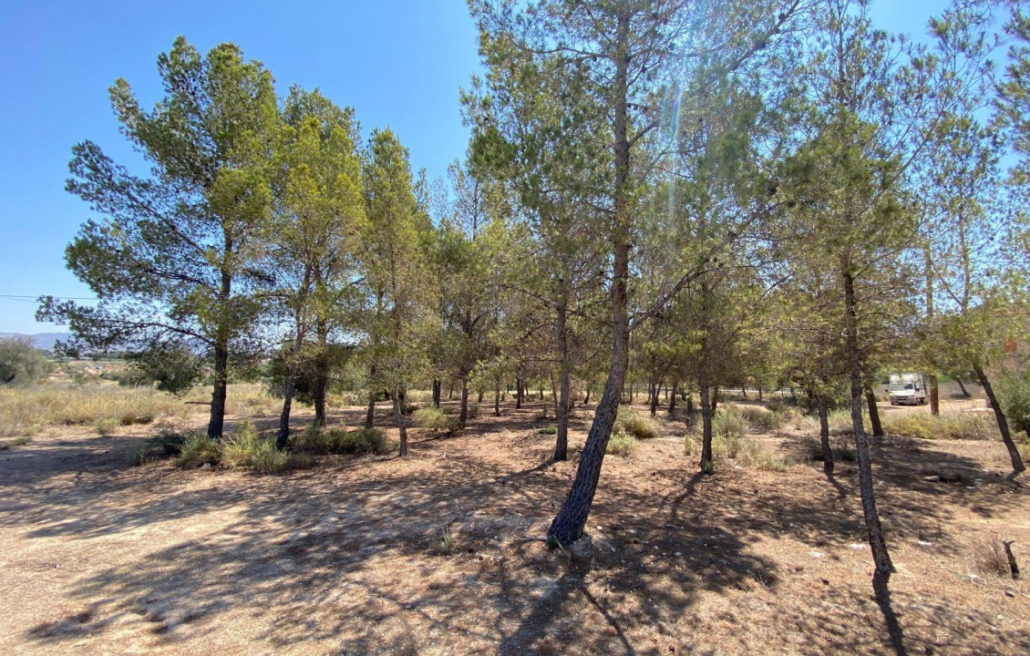 For Sale - Country house - Elda - Las Trescientas - San Francisco