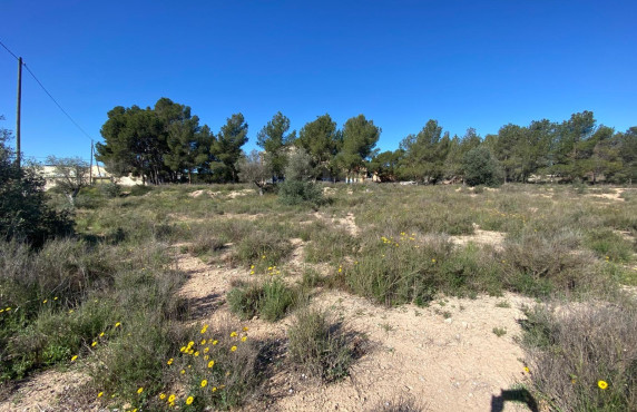 For Sale - Country house - Elda - Las Trescientas - San Francisco