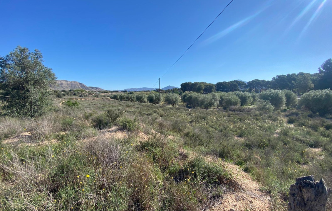 For Sale - Country house - Elda - Las Trescientas - San Francisco