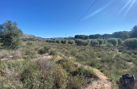 For Sale - Country house - Elda - Las Trescientas - San Francisco