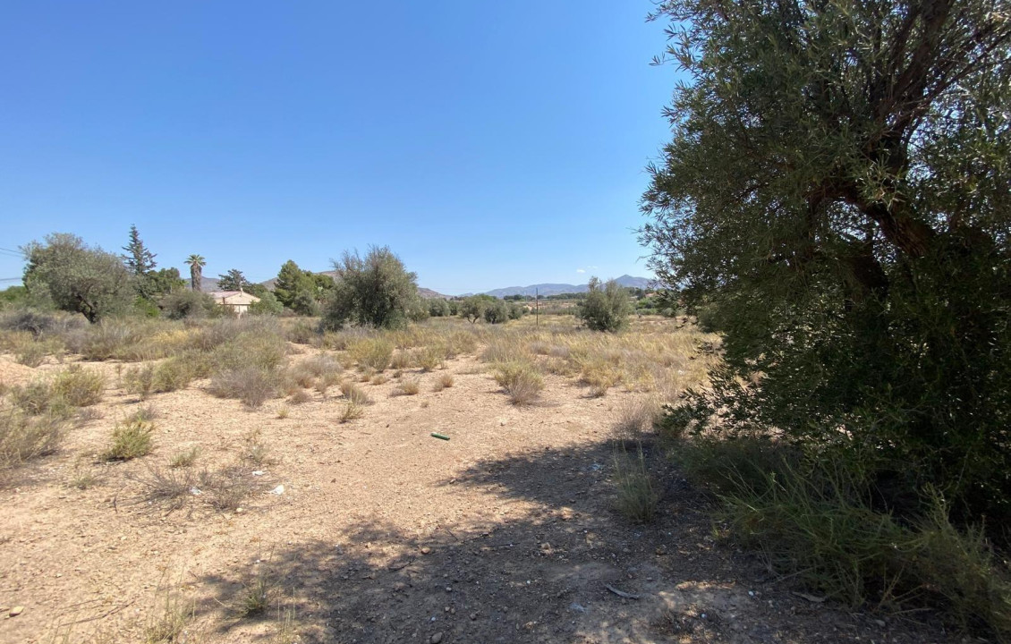 For Sale - Country house - Elda - Las Trescientas - San Francisco