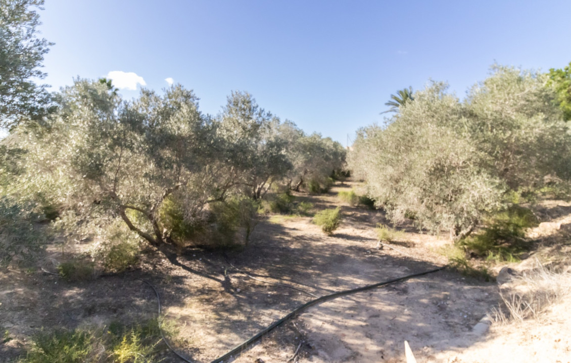 Venta - Chalet - Elche - Alzabares Alto