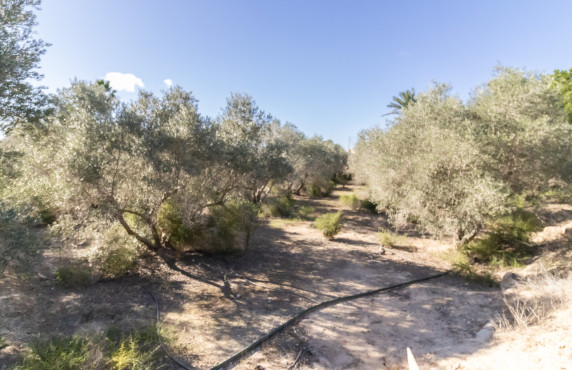 Venta - Chalet - Elche - Alzabares Alto