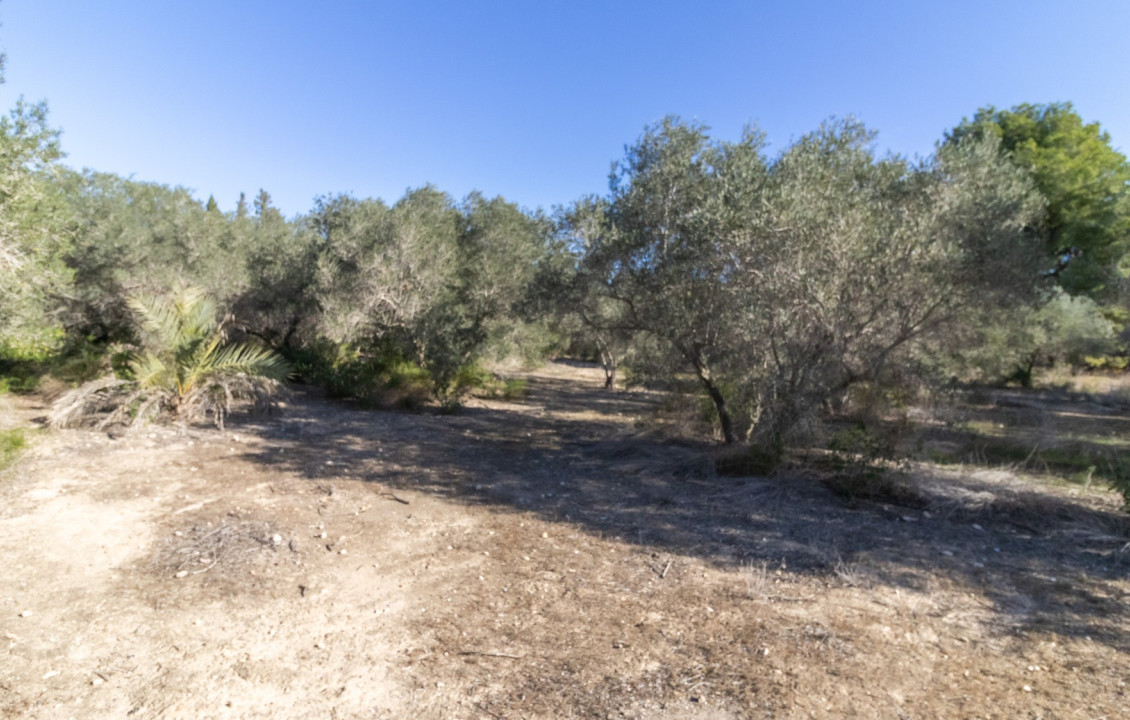 Venta - Chalet - Elche - Alzabares Alto