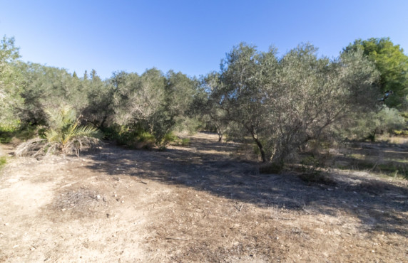 Venta - Chalet - Elche - Alzabares Alto