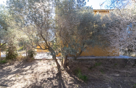 Venta - Chalet - Elche - Alzabares Alto