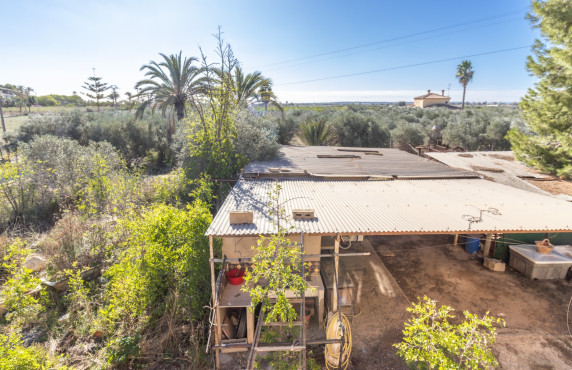 Venta - Chalet - Elche - Alzabares Alto